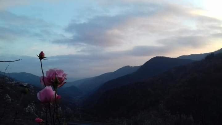 Bed and Breakfast Il Girasole ...At Andorus' House Erli Екстер'єр фото